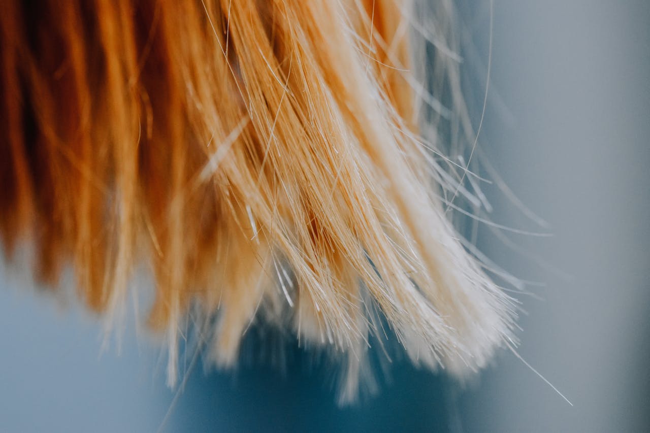 Post-Partum Hair Loss Recovery: Your Complete Treatment Plan