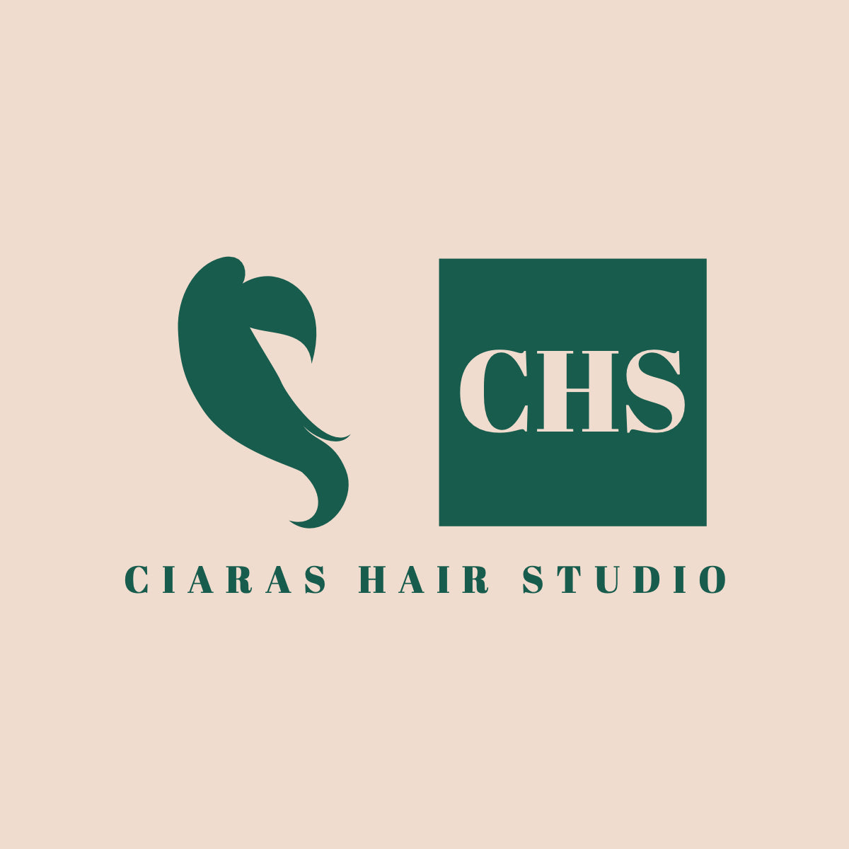 Ciara's Hair Studio