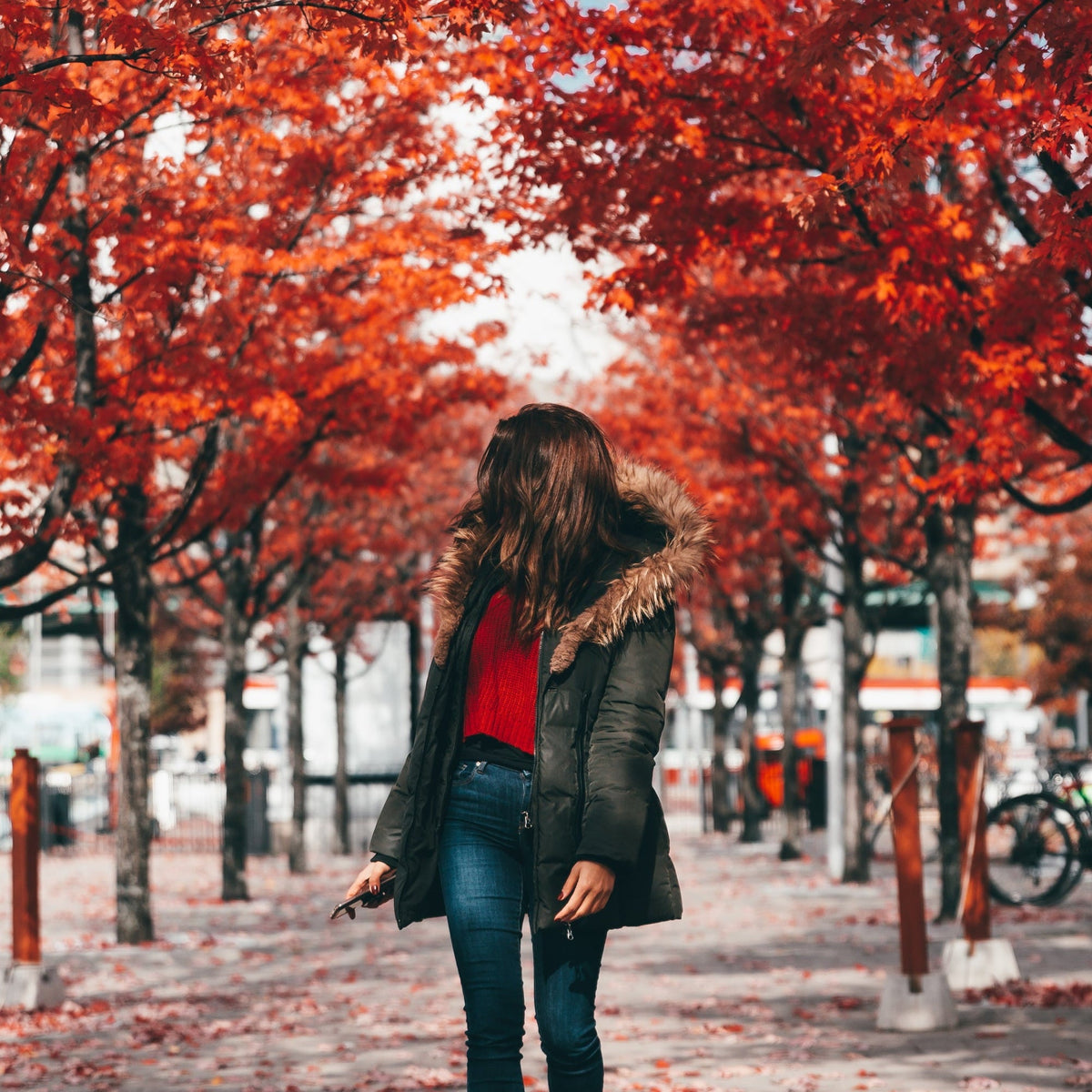 Autumn